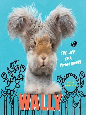 cover image of Wally